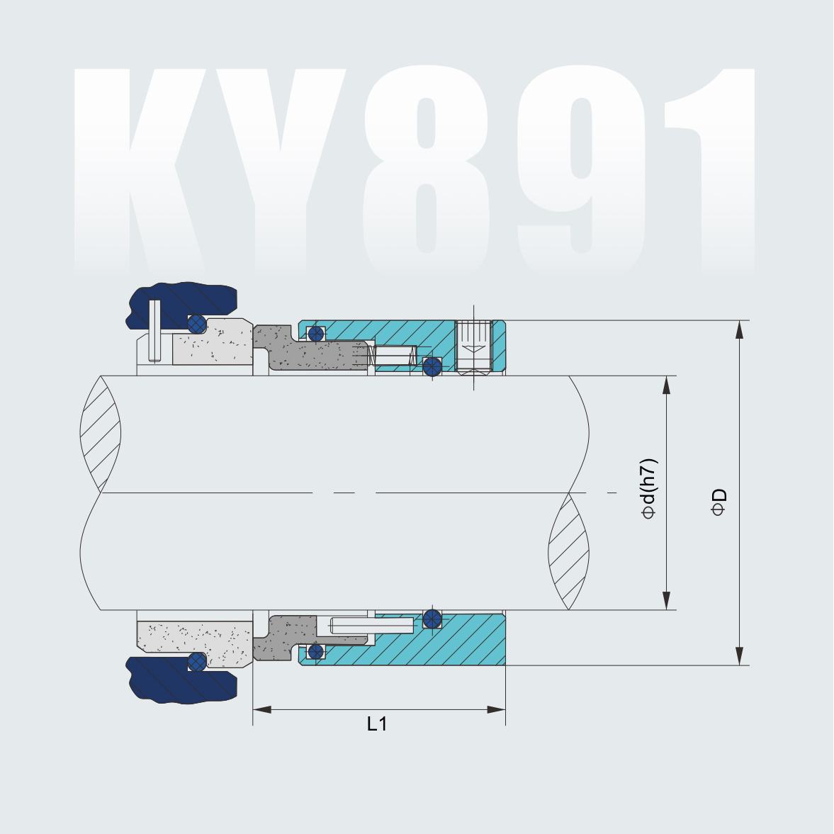 KY TYPE 891